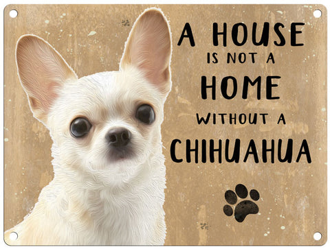 House is not a home - Chihuahua