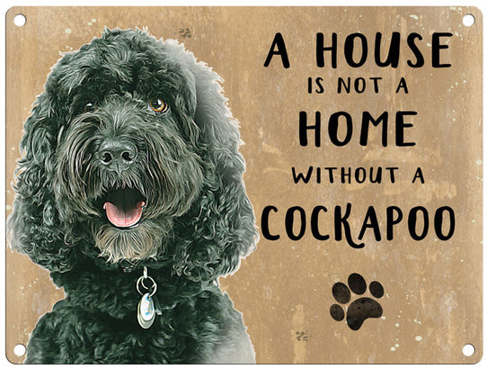 House is not a home - Black Cockapoo