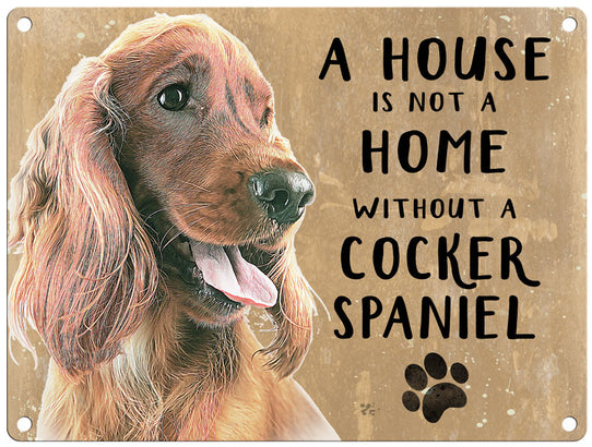 House is not a home - Cocker Spaniel Brown