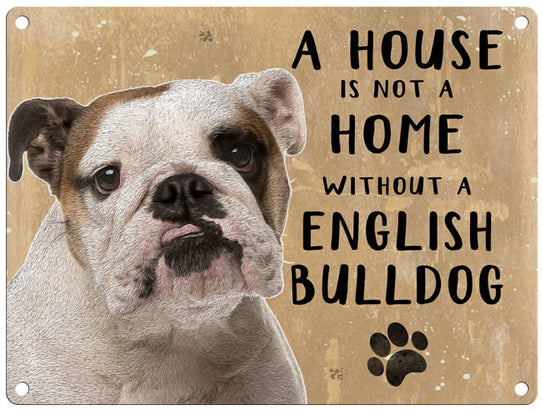 House is not a home - English Bulldog