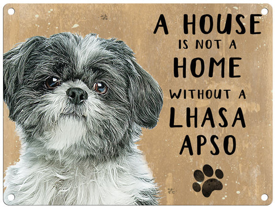 House is not a home - Lhasa Apso
