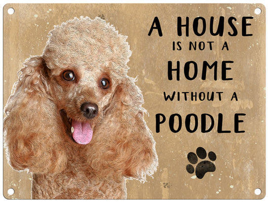House is not a home - Poodle
