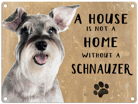House is not a home - Schnauzer