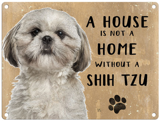 House is not a home - Shih Tzu