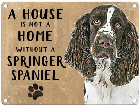 House is not a home - Springer Spaniel