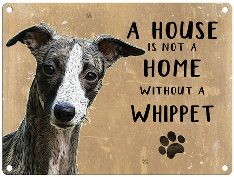 House is not a home - Whippet