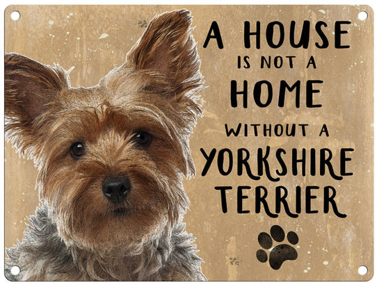 House is not a home - Yorkshire terrier