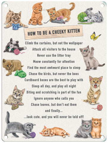How to be a Cheeky Kitten