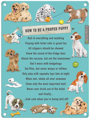 How To Be A Proper Puppy