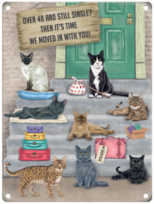 Over 40 and still single cats on steps metal sign