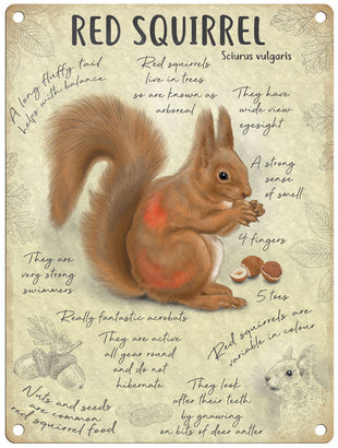 Red Squirrel metal sign