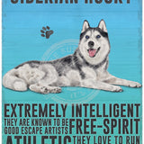 Siberian Husky dog characteristics metal sign