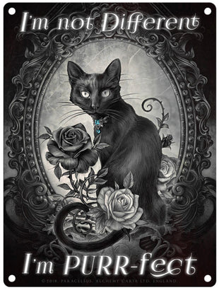 Alchemy I'm not different I'm purr-fect. Black Cat and mirror.