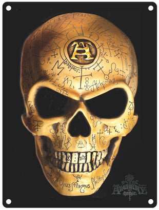 Alchemy Skull with symbols