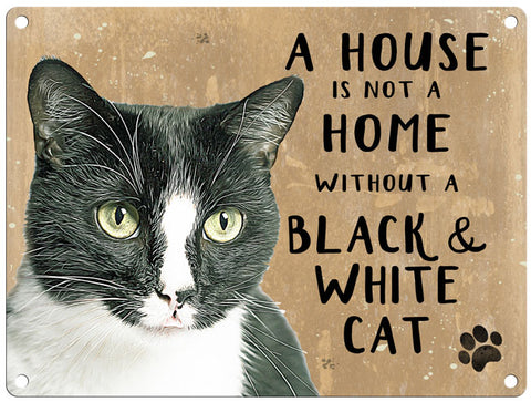 House is not a home without black and white cat