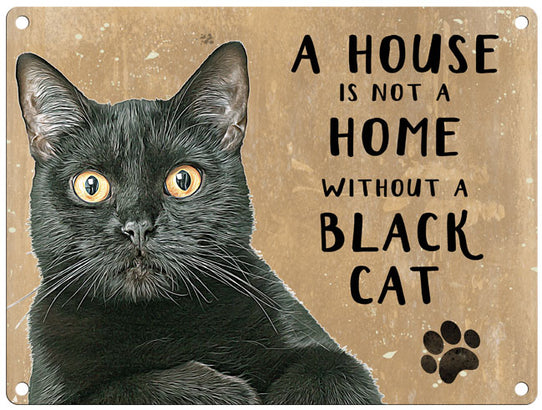 A House is not a home without a black cat.