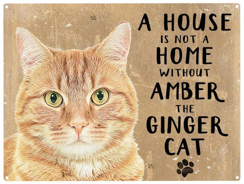 Personalised ginger cat metal sign