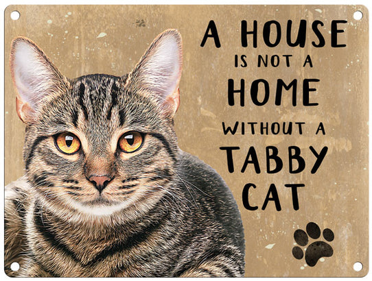House is not a home - Tabby Cat
