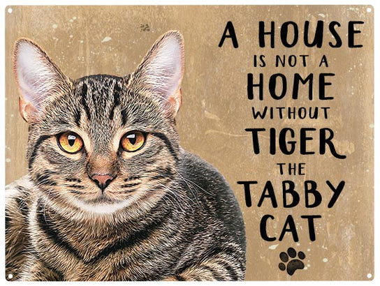 Personalised tabby cat metal sign