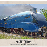 Mallard Steam Locomotive
