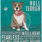 Staffordshire Bull Terrier dog characteristics metal sign