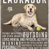 Yellow Labrador dog characteristics metal sign