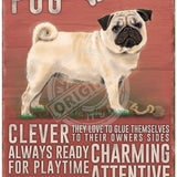 Pug dog characteristics metal sign