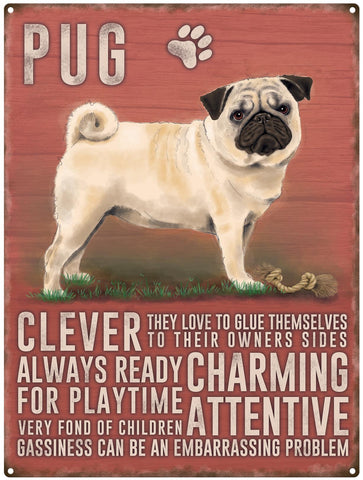 Pug dog characteristics metal sign
