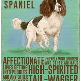 Springer Spaniel dog characteristics metal sign