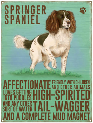 Springer Spaniel dog characteristics metal sign