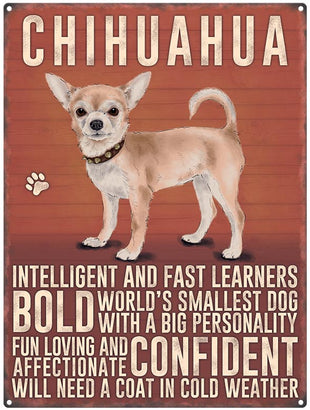 Chihuahua dog characteristics metal sign