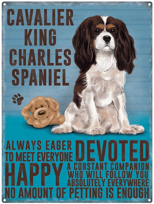 Cavalier King Charles dog characteristics metal sign