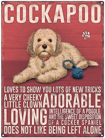 Cockapoo dog characteristics metal sign