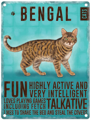 Bengal Cat characteristics sign