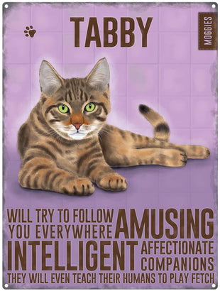Tabby Cat Characteristics metal sign