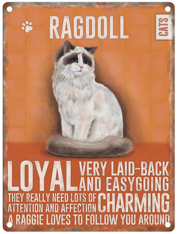 Ragdoll Cat characteristics metal sign