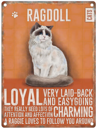 Ragdoll Cat characteristics metal sign