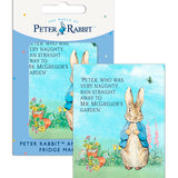 Beatrix Potter Peter Rabbit Very Naughty fridge magnet