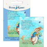 Beatrix Potter Peter Rabbit chased by Mr McGregor fridge magnet