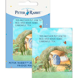 Beatrix Potter Peter Rabbit put to bed fridge magnet