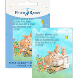Peter Rabbit flopsy mopsy cottontail fridge magnet