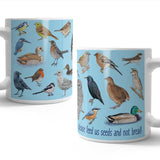 The A-Z of Birds mug